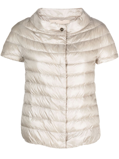 Herno Margherita Short-sleeve Quilted Jacket In Neutrals