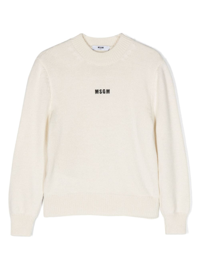 Msgm Kids' Logo-embroidered Knitted Jumper In Neutrals