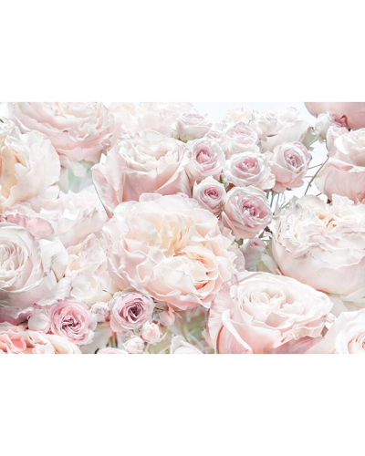 Komar Spring Roses Wall Mural In Pink