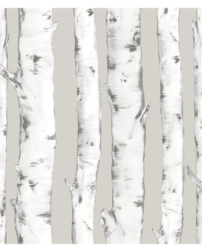 Inhome Downy Birch Peel & Stick Wallpaper