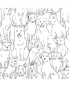 Nuwallpaper Black & White Paws On Peel & Stick Wallpaper In Black
