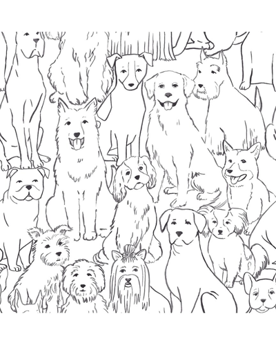 NUWALLPAPER NUWALLPAPER BLACK & WHITE PAWS ON PEEL & STICK WALLPAPER
