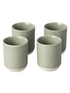 Fable The Cups In Beachgrass Green
