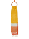 Loewe Striped Scarf In Camel_multicolor