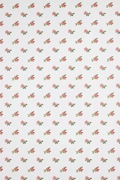 Nathan Turner Anna Floral Wallpaper In Pink