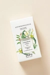 PURA X ANTHROPOLOGIE SANDALWOOD VANILLA HOME FRAGRANCE OIL REFILL