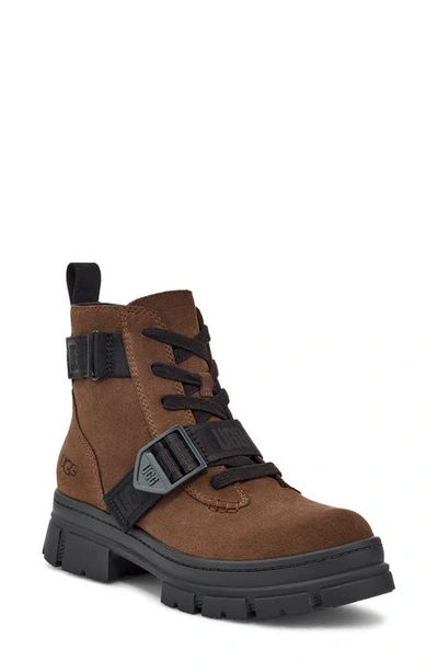 Ugg Ashton Waterproof Boot In Dark Earth