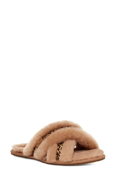 Ugg Scuffita Speckles Genuine Shearling & Calf Hair Slipper In Chestnut