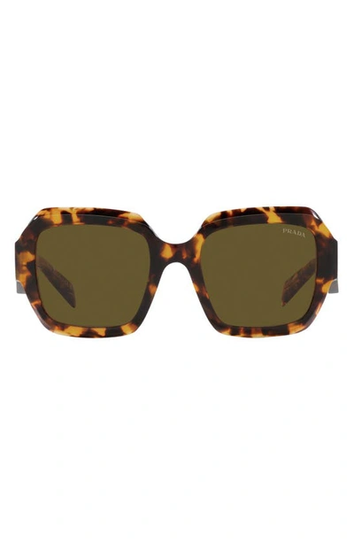 Prada 53mm Irregular Sunglasses In Brown