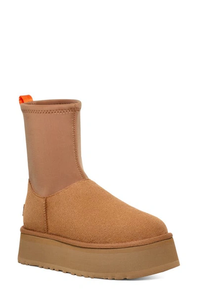 Ugg Dipper Classic Suede Zip Boots In Chesnut