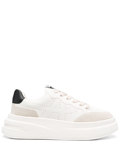 Ash Impuls Sneakers In White Leather