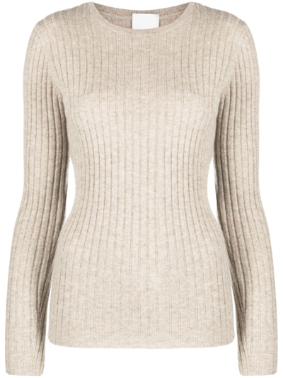 Allude Ribbed-knit Cashmere Top In Brown