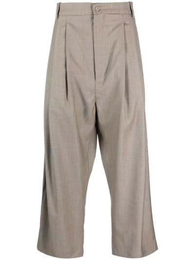 Hed Mayner Pleated Cropped Wool Trousers In Neutrals