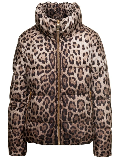 DOLCE & GABBANA BROWN DOWN JACKET WITH HIGH-NECK WITH ALL-OVER LEO PRINT IN NYLON WOMAN