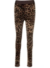 Dolce & Gabbana Leggings In Brown