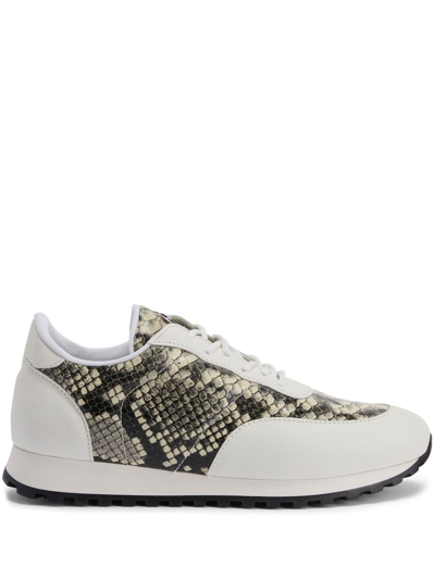 Giuseppe Zanotti Jimi Running Python-print Sneakers In White