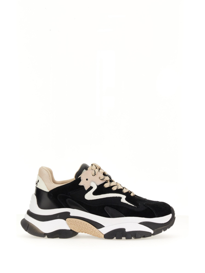 Ash 'addict' Black Sneakers With White And Beige Inserts In Leather Woman