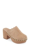 Chocolat Blu Gemini Platform Clog In Latte Suede