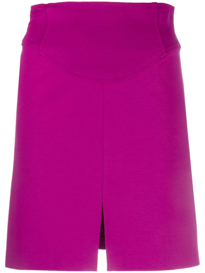 Pinko Panelled High-waisted Skirt In Purple