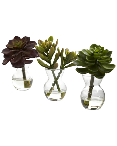 Nearly Natural Set Of 3 Succulent Arrangements