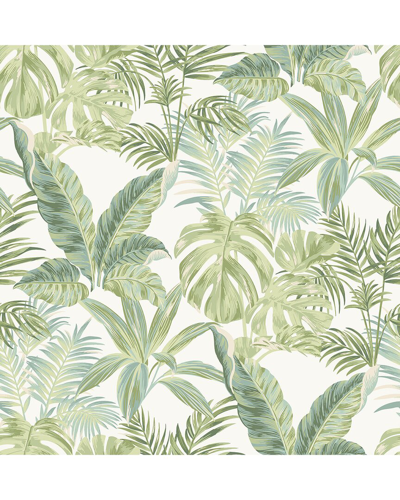 Nuwallpaper Madagascar Peel & Stick Wallpaper In Green