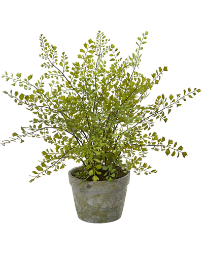 Nearly Natural Maiden Hair Artificial Plant In Decorative Planter In Green