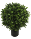 CREATIVE DISPLAYS CREATIVE DISPLAYS 23.5IN BOXWOOD TOPIARY