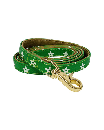 D.o.g . Lauren Leash In Green