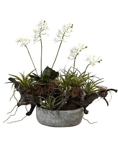 Nearly Natural Orchid And Succulent Garden W/ Driftwood And Decorative Vase In White,green