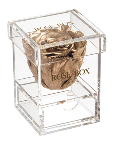 Rose Box Nyc Single Gold Rose Jewelry Box In Metallic