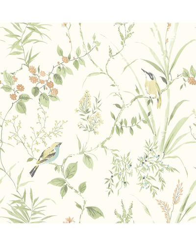 Nuwallpaper Sage Songbird Peel & Stick Wallpaper In Green