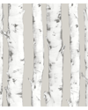 INHOME INHOME DOWNY BIRCH PEEL & STICK WALLPAPER