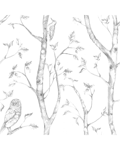 NUWALLPAPER NUWALLPAPER GREY WOODS PEEL & STICK WALLPAPER