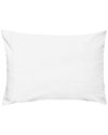 ANNE DE SOLENE ANNE DE SOLÈNE VEXIN BLANC PILLOWCASE SET