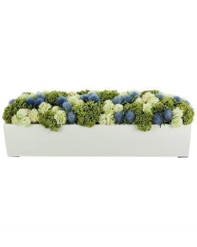 Creative Displays Sedum And Blue Thistle Arranged In Rectangular Planter In Green