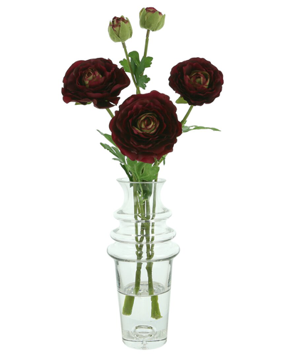 Creative Displays Burgundy Ranunculus Floral Arrangement In Red