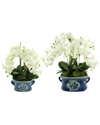 Shop Creative Displays White Orchid Arrangements In Ceramic Vases