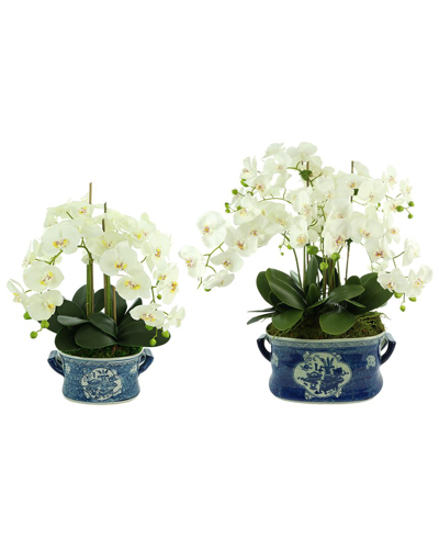 Creative Displays White Orchid Arrangements In Ceramic Vases