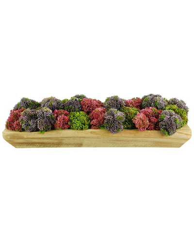 Creative Displays Purple And Pink Sedum Arranged In Wood Planter