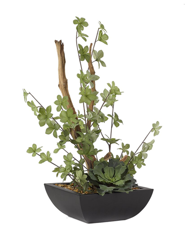 D&w Silks , Inc Ghostwood And Double Ruffle Echeveria In Square Metal Planter