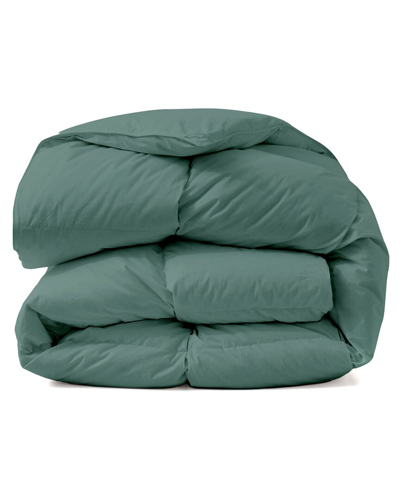 Unikome All-seasons Pleated Down Comforter In Green