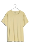 Madewell Softfade Oversize Cotton T-shirt In Pale Lichen