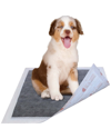 Pet Life 55 Grams Ultra Absorbent Charcoal Odor Eliminating Anti-skid And Anti-bacterial Diabetic Premium Dog