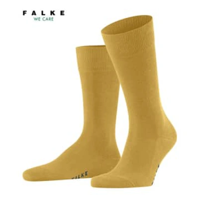 Falke Light Brass Family Socks