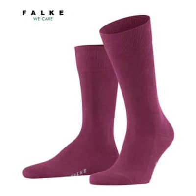 Falke Red Plum Family Socks
