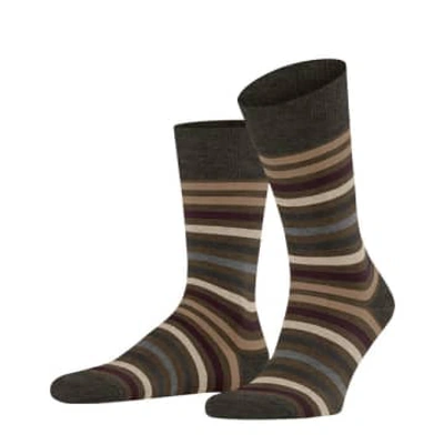 Falke Beech Tinted Stripe Socks