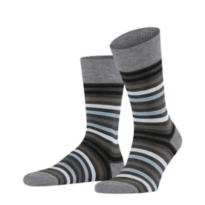 Falke Asphalt Mel Tinted Stripe Socks