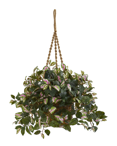 Nearly Natural Hoya Artificial Plant Hanging Basket