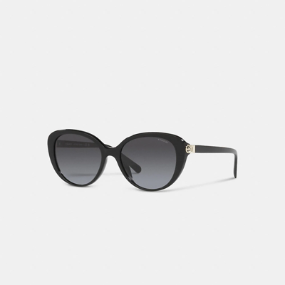 Coach Horse And Carriage Cat Eye Sunglasses In Black