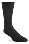 CANALI SOLID COTTON DRESS SOCKS